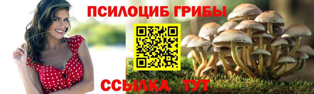 Наро-Фоминск  Псилоцибиновые грибы мицелий  Вход с VPN 